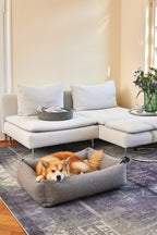 Housse lit pour chien Mondo pierre — Corgi dans un salon contemporain — Maison Canisya