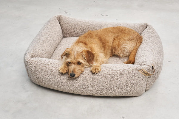 SENSO — Housse de panier coffre pour chien en tissu bouclé