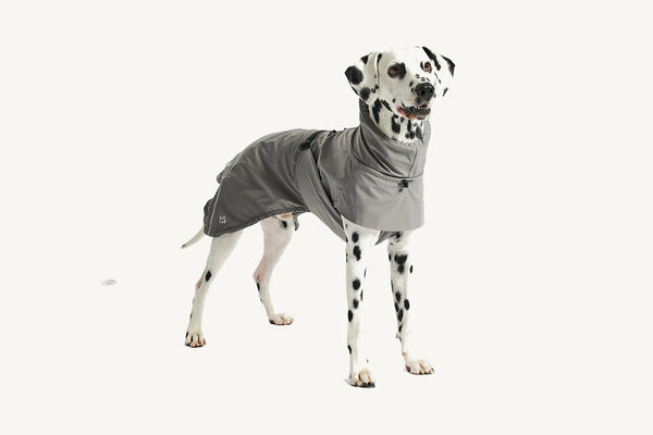 VALENTINA — Imperméable technique 3 couches pour chien