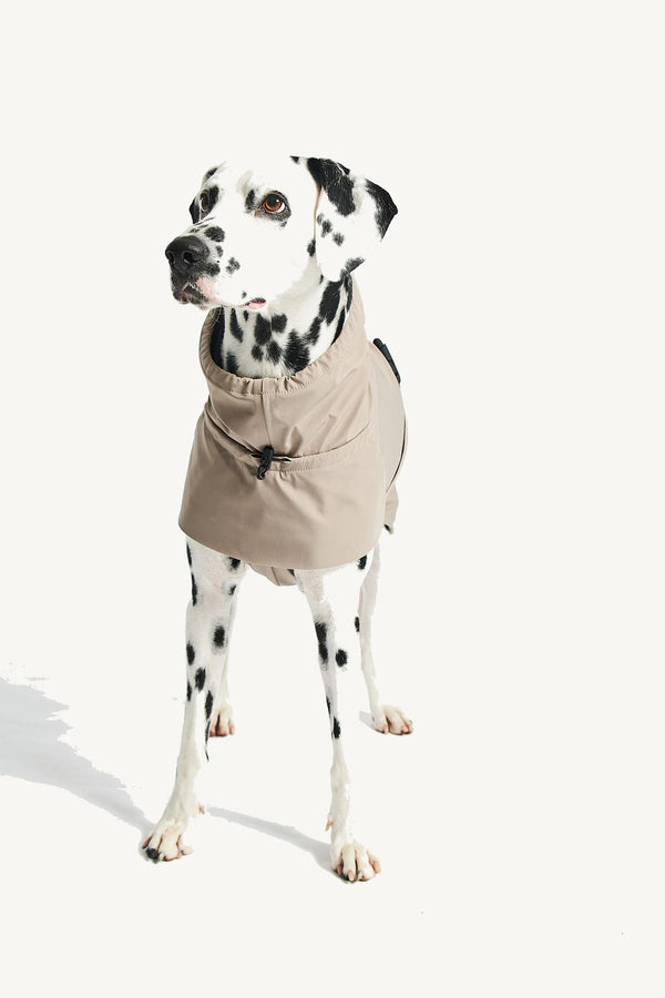 VALENTINA — Imperméable technique 3 couches pour chien