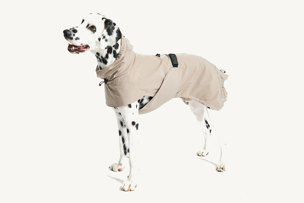 VALENTINA — Imperméable technique 3 couches pour chien