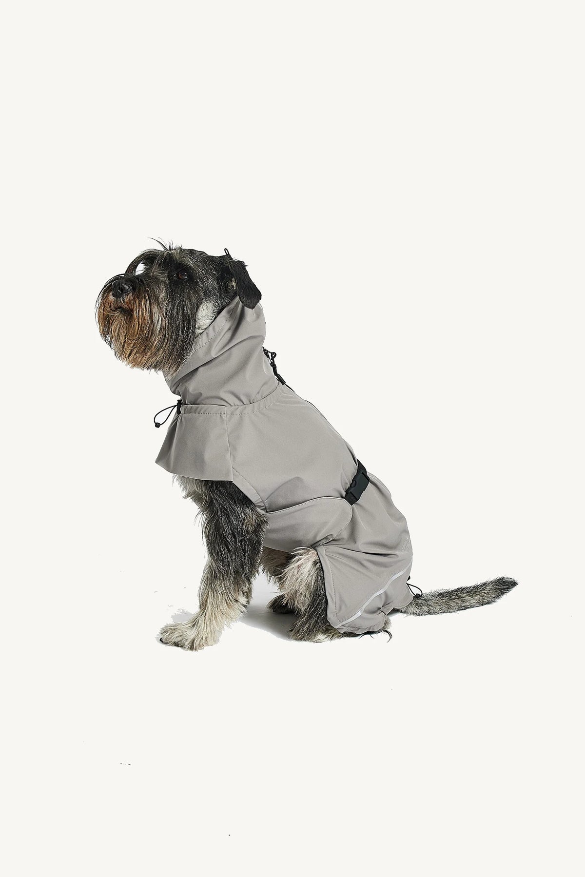 Imperméable Valentina pour chien – schnauzer assis de profil, coloris gris concrete – Maison Canisya
