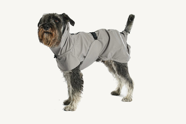 VALENTINA — Imperméable technique 3 couches pour chien