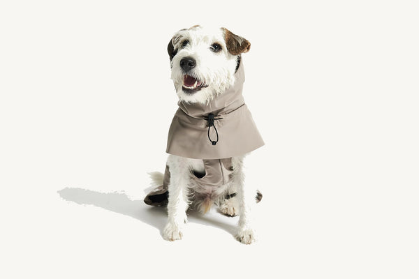 VALENTINA — Imperméable technique 3 couches pour chien