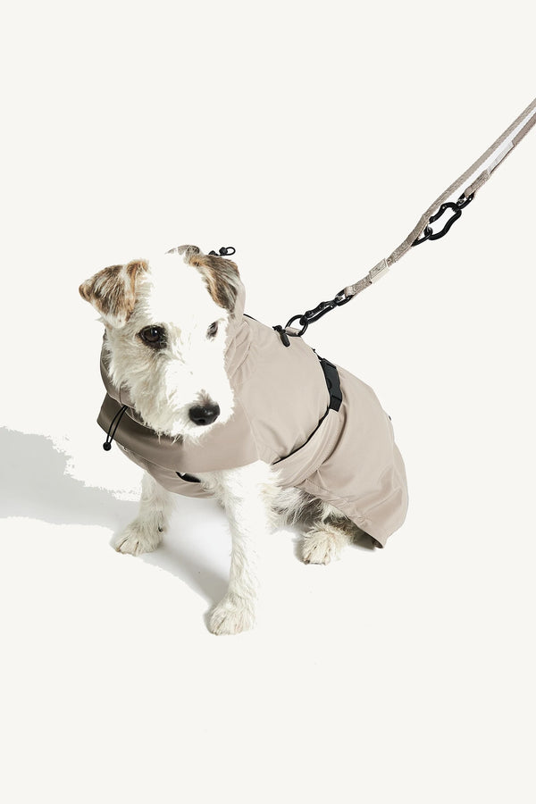 VALENTINA — Imperméable technique 3 couches pour chien
