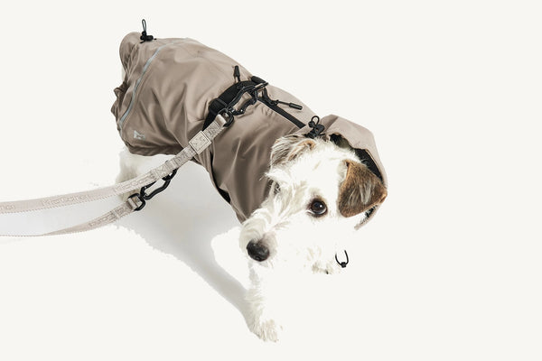 VALENTINA — Imperméable technique 3 couches pour chien
