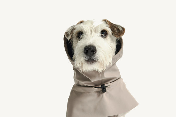 VALENTINA — Imperméable technique 3 couches pour chien