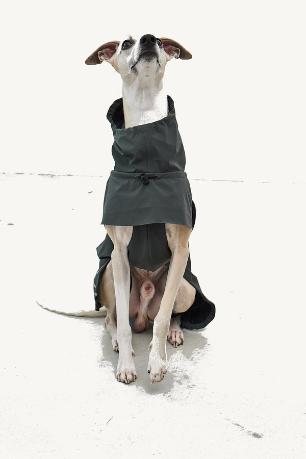 VALENTINA — Imperméable technique 3 couches pour chien