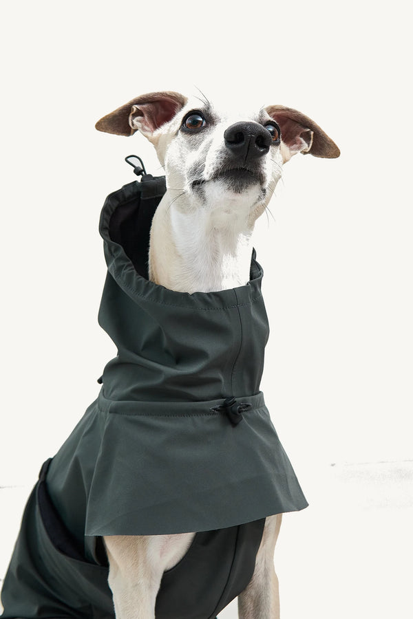 VALENTINA — Imperméable technique 3 couches pour chien