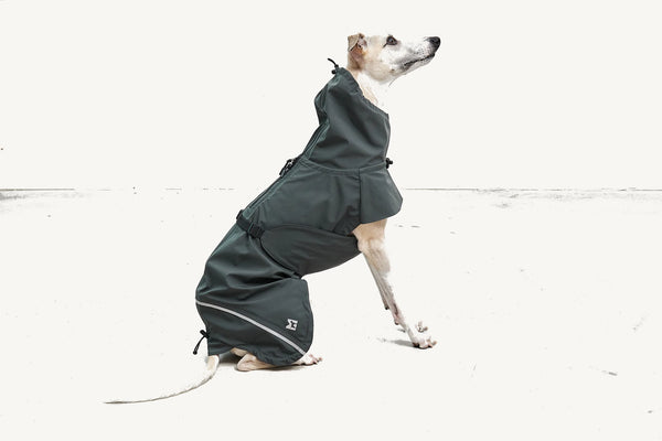 VALENTINA — Imperméable technique 3 couches pour chien