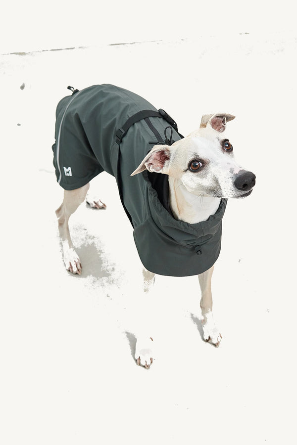 VALENTINA — Imperméable technique 3 couches pour chien
