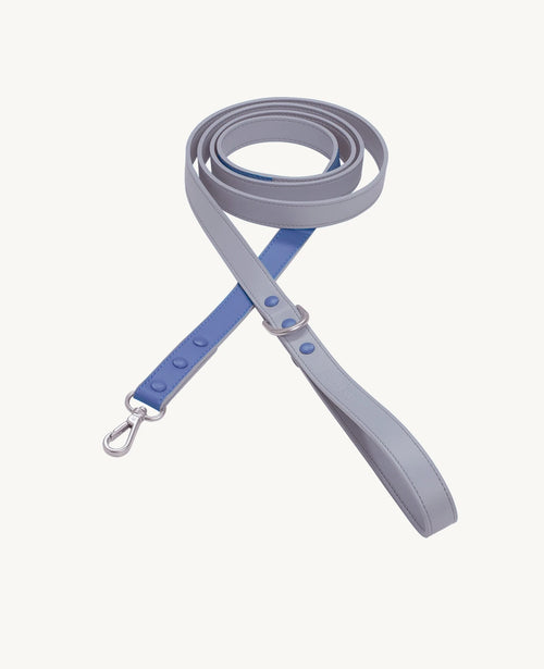 Laisse Azur – laisse bicolore gris et brume mauve, quincaillerie argent mat – Maison Canisya
