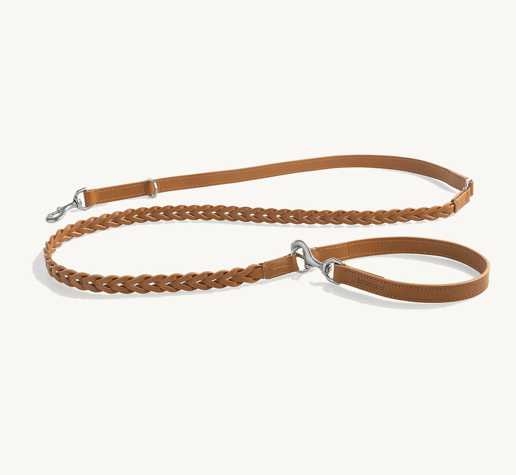 Laisse longue Bergamo Camel — laisse cuir tressé et lisse camel sur fond neutre — Maison Canisya