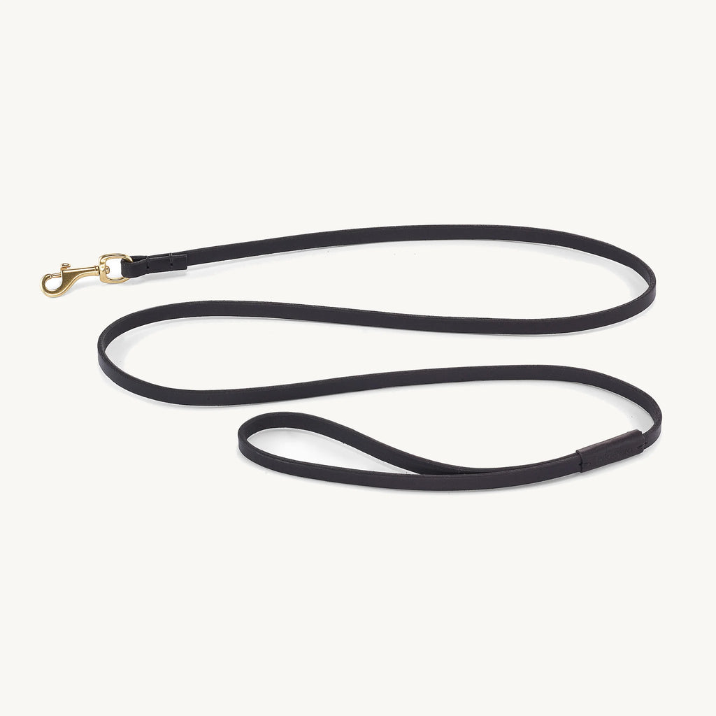 Laisse Napoli 10 mm – laisse cuir tanné végétal noir fine, mousqueton laiton – Maison Canisya