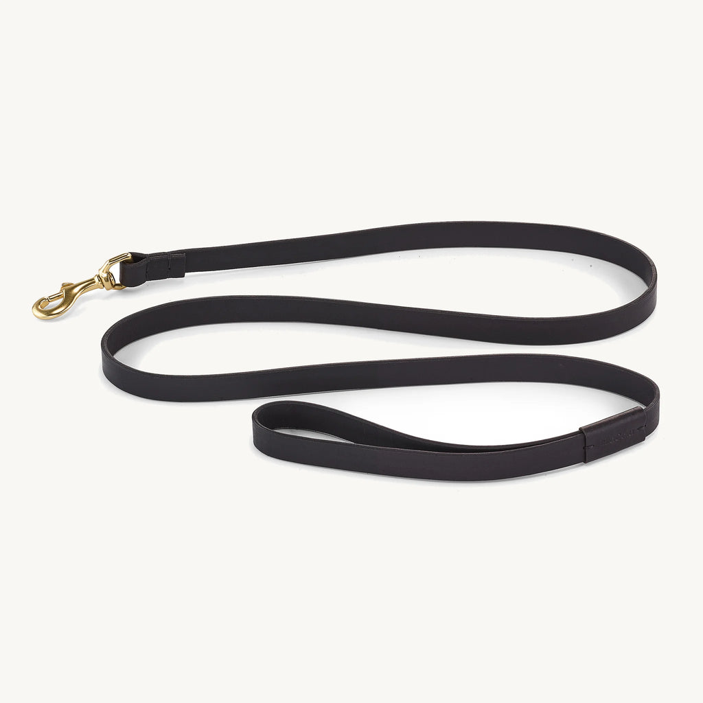 Laisse Napoli 20 mm – laisse cuir tanné végétal noir large, mousqueton laiton – Maison Canisya