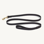 Laisse Napoli 20 mm – laisse cuir tanné végétal noir large, mousqueton laiton – Maison Canisya