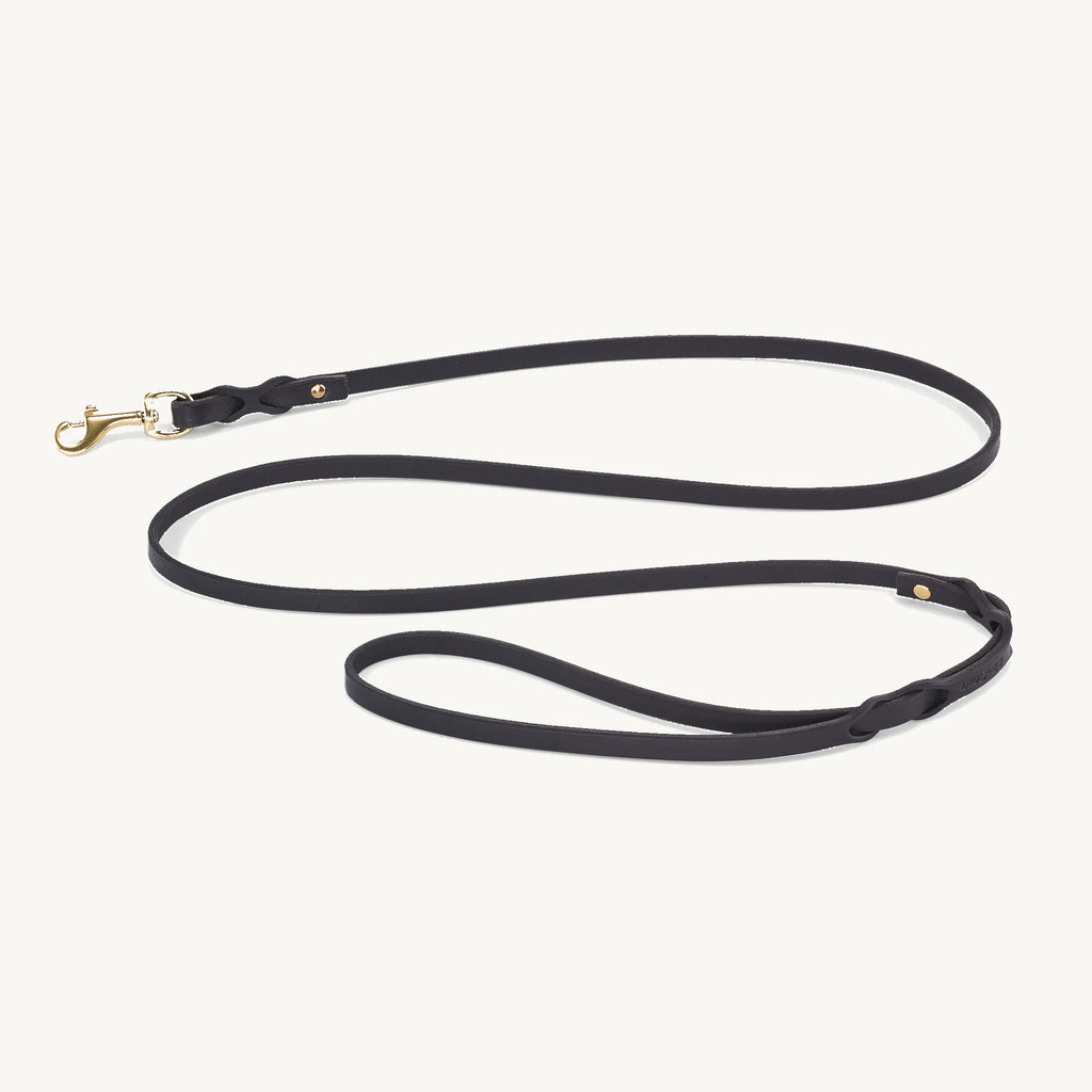 Laisse Rimini 10 mm – laisse cuir tanné végétal noir sur fond crème, vue produit – Maison Canisya