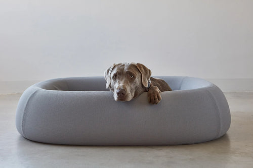 Lit pour chien Barca Ardoise avec Braque de Weimar couché — Maison Canisya