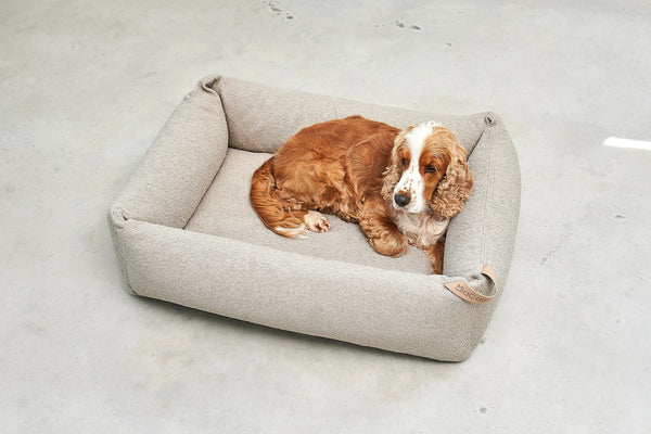 MONDO — Lit pour chien en bouclette, confort orthopédique et design épuré