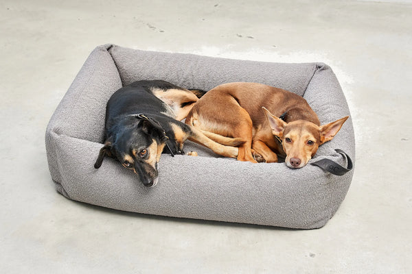 MONDO — Lit pour chien en bouclette, confort orthopédique et design épuré