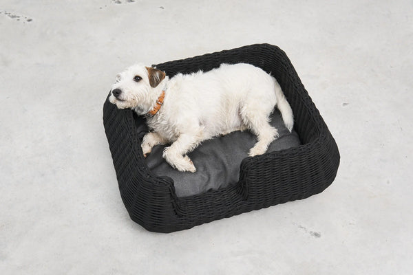 MIO — Panier pour chien en corde tressée, intérieur et extérieur