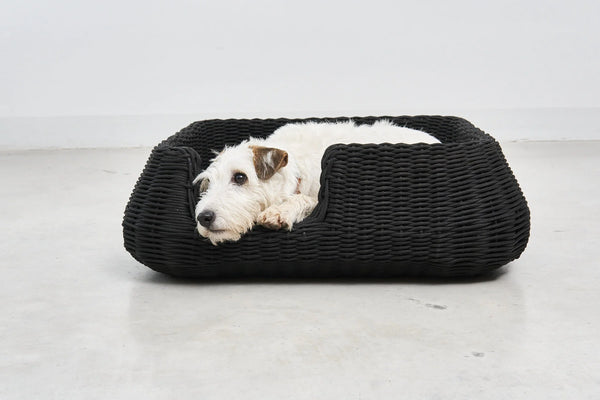 MIO — Panier pour chien en corde tressée, intérieur et extérieur