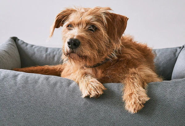 MARE — Le lit pour chien né de l'océan, tissu recyclé SEAQUAL
