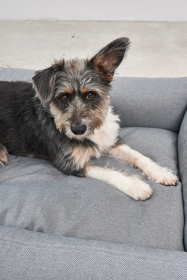 MARE — Le lit pour chien né de l'océan, tissu recyclé SEAQUAL