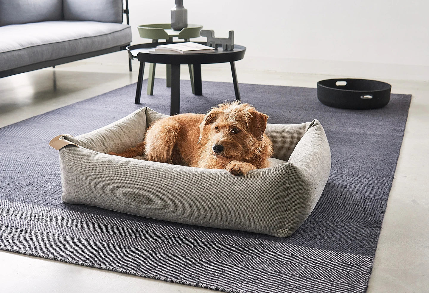 Lit Mare – terrier allongé sur le flanc dans le coloris gris galet – Maison Canisya