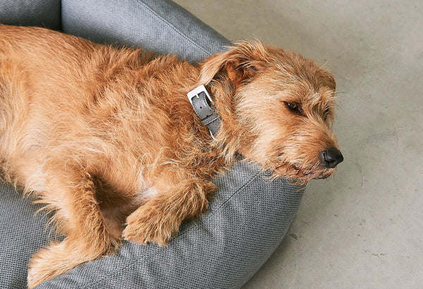 MARE — Le lit pour chien né de l'océan, tissu recyclé SEAQUAL