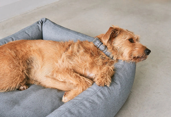 MARE — Le lit pour chien né de l'océan, tissu recyclé SEAQUAL