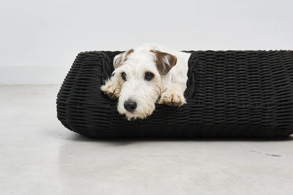MIO — Panier pour chien en corde tressée, intérieur et extérieur
