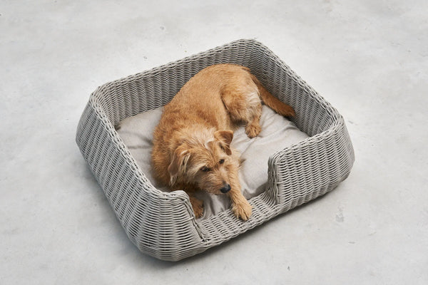 MIO — Panier pour chien en corde tressée, intérieur et extérieur