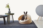 Covo MiaCara – lit chien premium en frêne dans un salon design vue de profil avec Boston Terrier – Maison Canisya