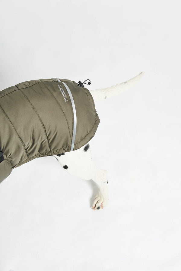 COSIMA — Manteau d'hiver imperméable et rembourré pour chien