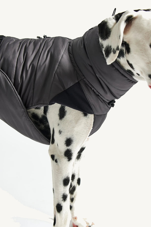 COSIMA — Manteau d'hiver imperméable et rembourré pour chien