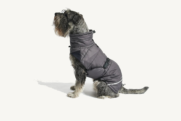 COSIMA — Manteau d'hiver imperméable et rembourré pour chien