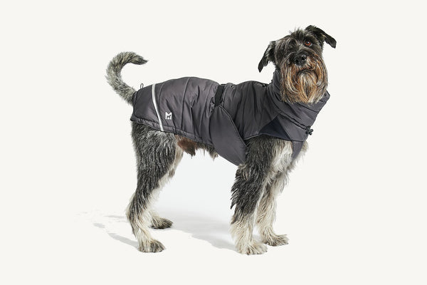 COSIMA — Manteau d'hiver imperméable et rembourré pour chien