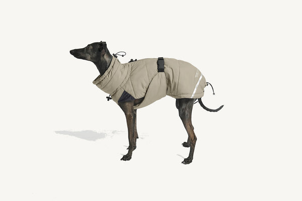 COSIMA — Manteau d'hiver imperméable et rembourré pour chien
