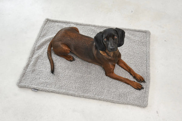 SENSO — Couverture en tissu bouclé pour chien