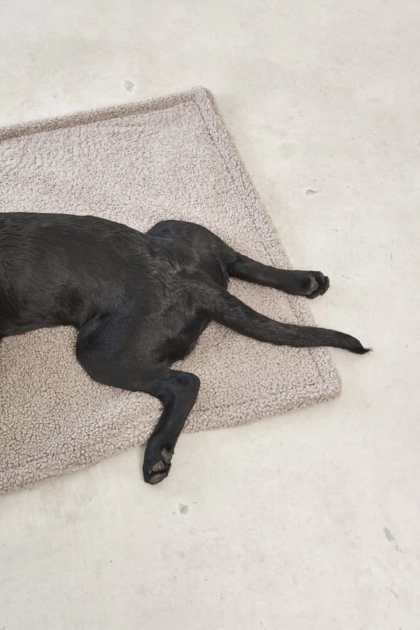 SENSO — Couverture en tissu bouclé pour chien