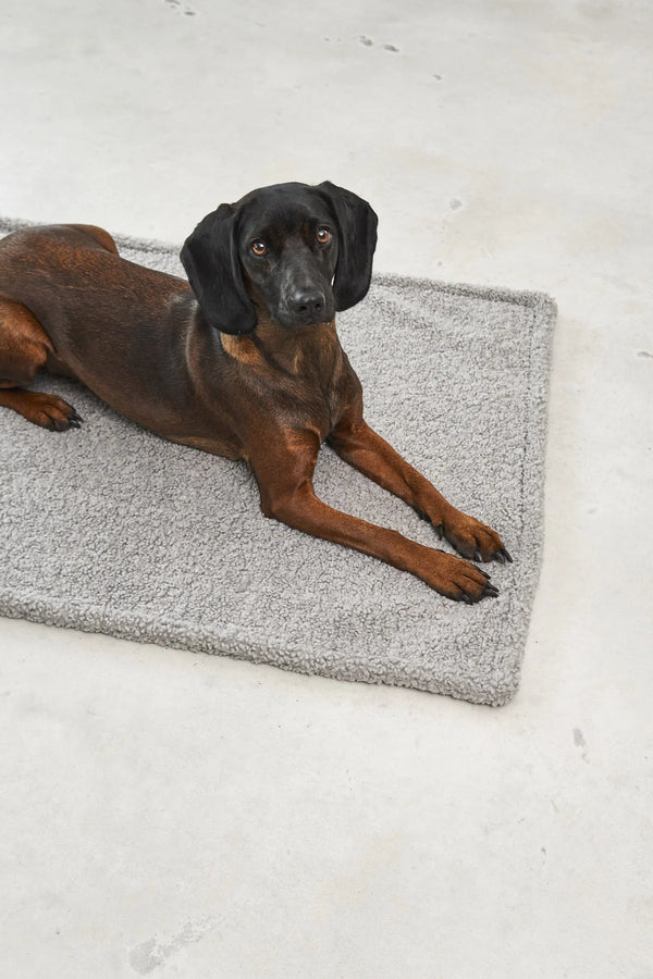 SENSO — Couverture en tissu bouclé pour chien