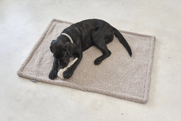 SENSO — Couverture en tissu bouclé pour chien