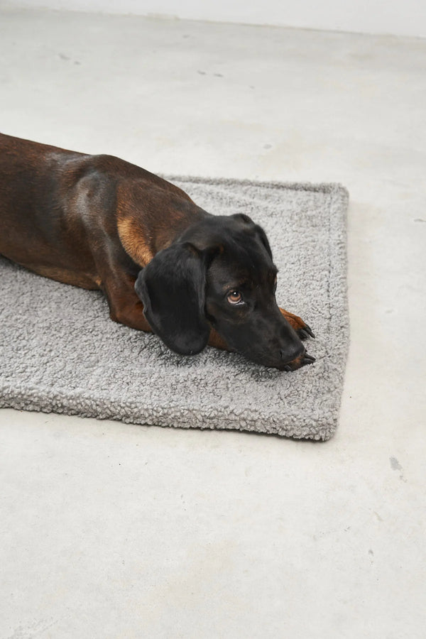 SENSO — Couverture en tissu bouclé pour chien