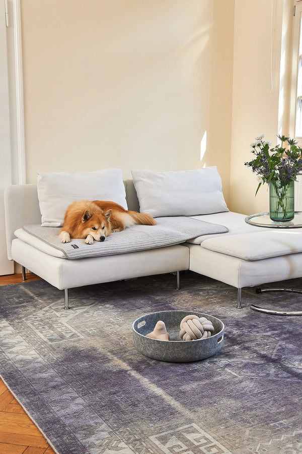 ONDA — Couverture matelassée en coton pour chien