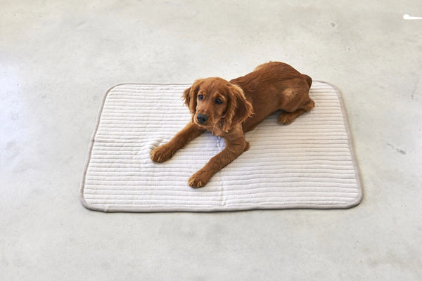 ONDA — Couverture matelassée en coton pour chien