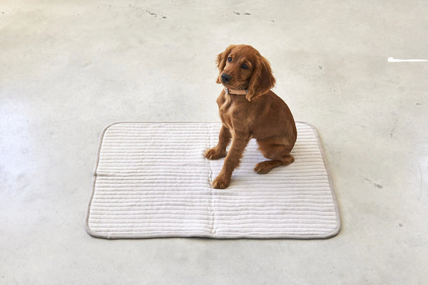 ONDA — Couverture matelassée en coton pour chien