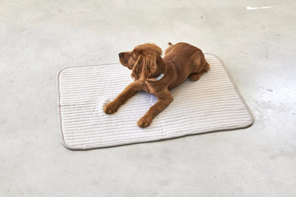 ONDA — Couverture matelassée en coton pour chien