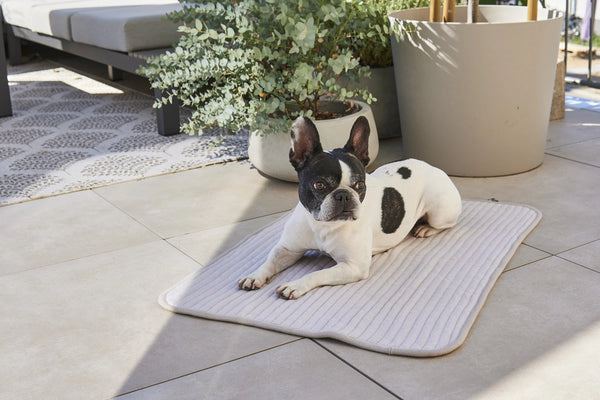 ONDA — Couverture matelassée en coton pour chien