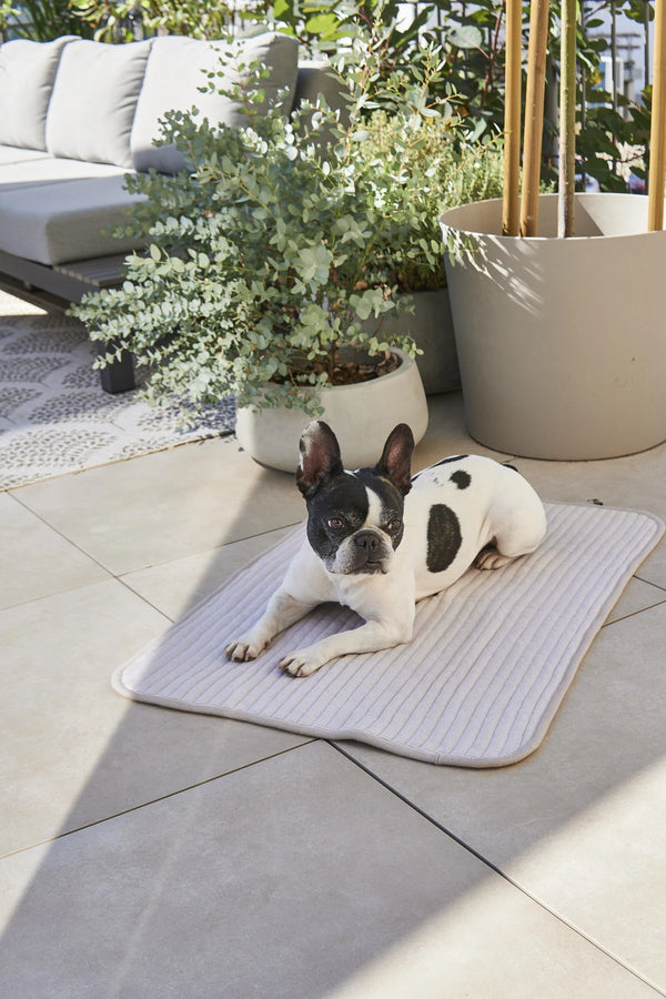 ONDA — Couverture matelassée en coton pour chien